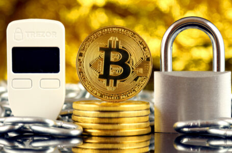 US Government Seizes Trezor Wallet With $6.3 Million in Bitcoin From Gift Card Fraud Case