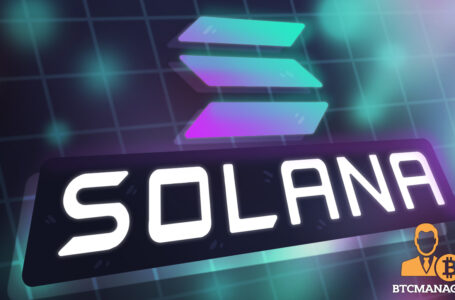 High-flying Solana (SOL) Enjoys Continued Hype Despite Market-Wide Retracement