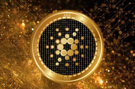 Cardano Successfully Deploys Alonzo HFC, But Why Is Price Down?
