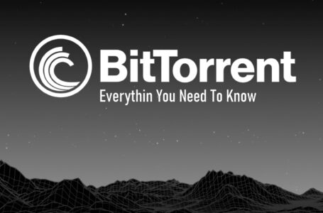 BitTorrent (BTT): Everything You Need to Know