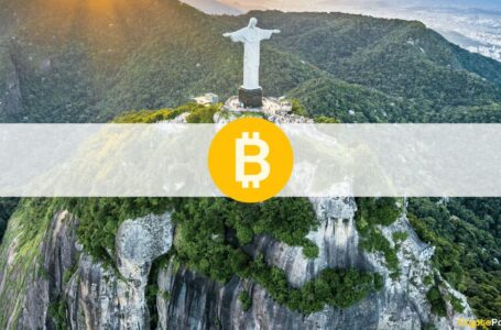 Poll: 48% of Brazilians Support Making Bitcoin Their Official Currency