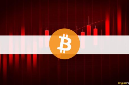 Bitcoin Drops Below $45K, Crypto Market Cap Slumps $120B (Weekend Watch)