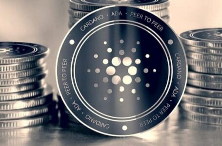 Cardano Network Upgrade And Hard Fork Gets Support From Binance