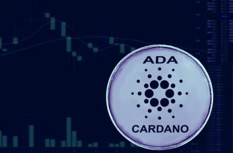 Cardano Sees Over 40,000 Smart Contracts Deployed 4 Days After Alonzo HFC, How This Affects The Price