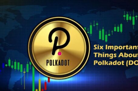 Six Important Things You Need to Know About Polkadot (DOT)