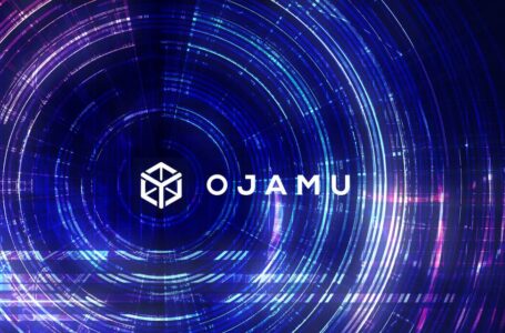 How Ojamu Predicts Optimal Strategies for Marketing Campaigns