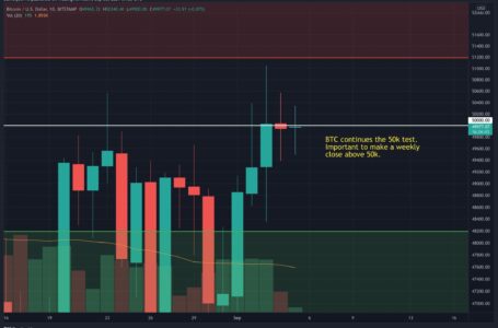 On-Chain Showing Strong Accumulation, Will Weekly Close Breach $50k?