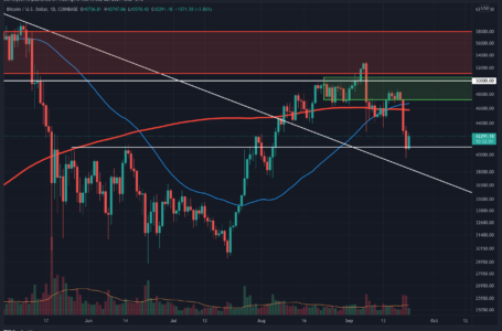 After BTC’s Quick Dip Below $40k, Is Local Bottom Confirmed?