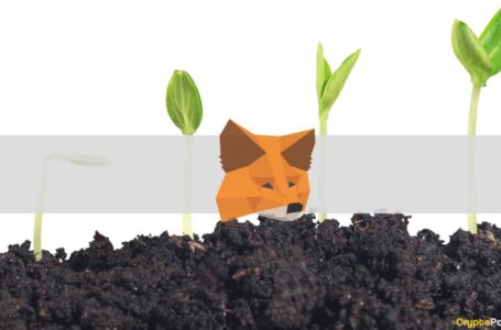MetaMask Celebrates 10 Million Monthly Active Users: 1800% Yearly Growth