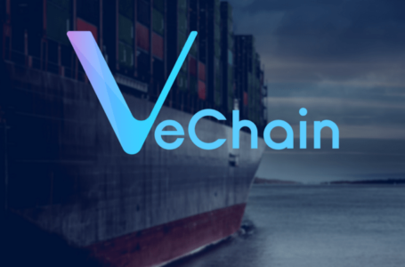 VeChain: A Cryptocurrency You Should Know More About