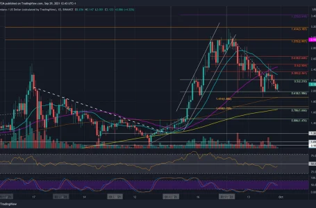 Cardano Price Analysis: ADA Fighting to Defend Critical $2 Support