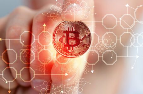 Bitcoin Holders Take Profits As Price Falls, Indicators Remain Bullish?