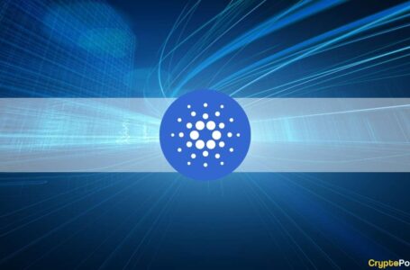 Cardano With Most Commits per Month in the Past Year: Report