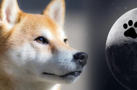 Dogecoin’s Four-Legged Fall — DOGE Slides to 9th Market Cap Position Dropping 18% Last Month