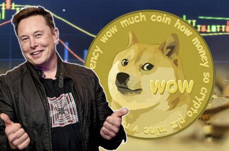 Is Dogecoin a Good Cryptocurrency to Invest?