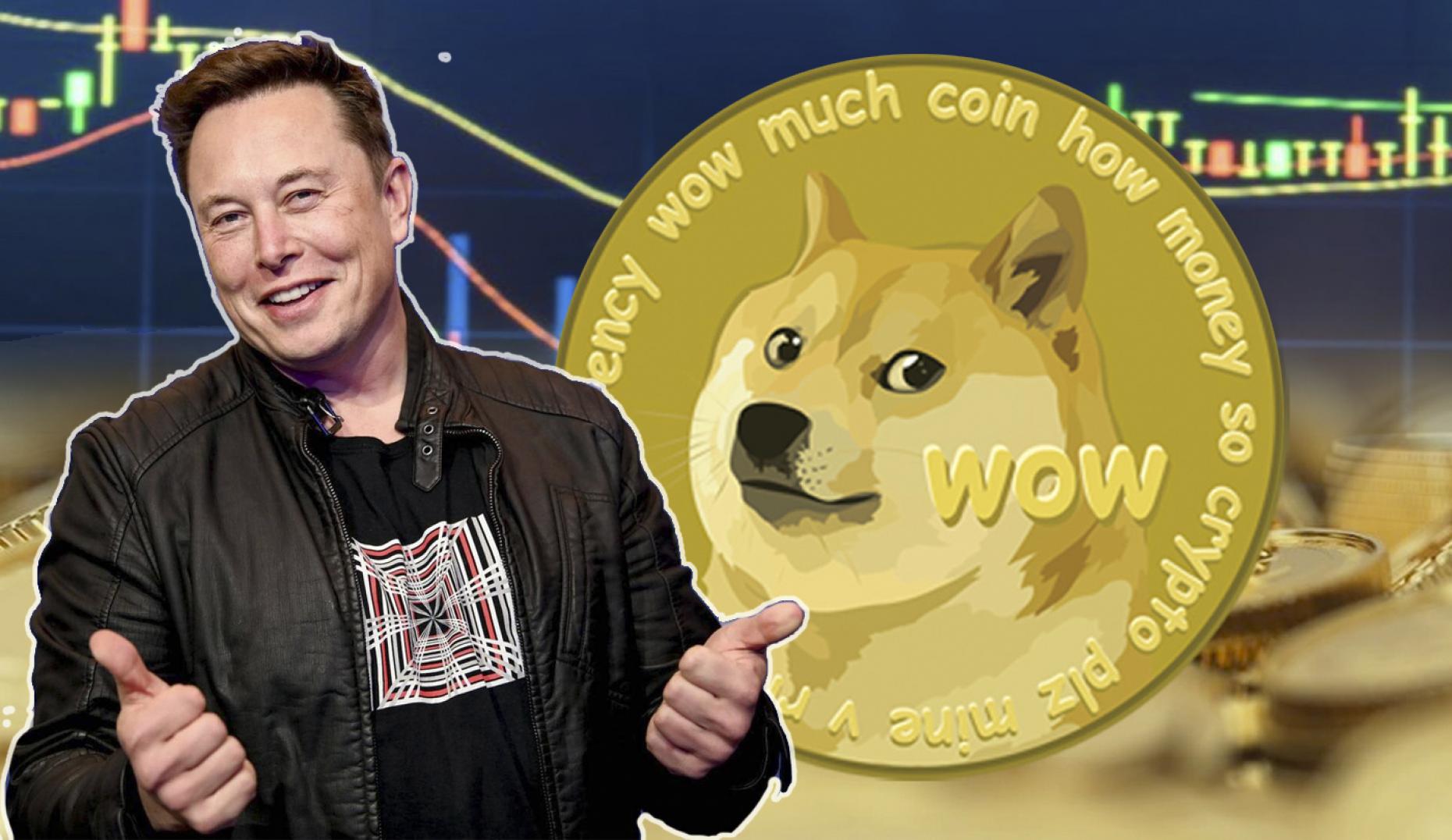 Doge Coin