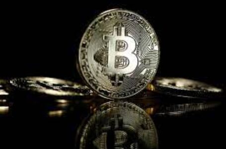 Mid-Cap Altcoins Hold Onto Highs Better Than Bitcoin And Ethereum
