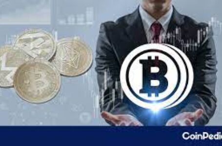 Is It The Right Time To Move Your Bitcoin (BTC) Holdings To Altcoins?
