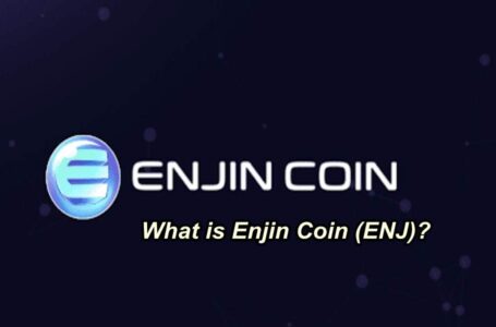 Should You Buy Enji (ENJ)? What is ENJ?