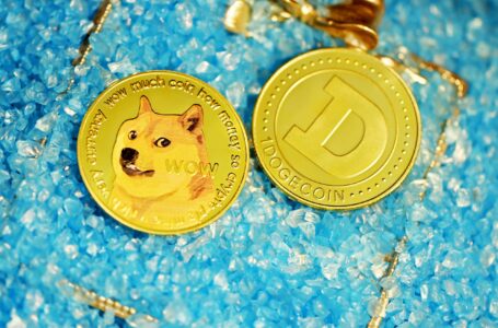 Dogecoin Price Drops Almost 10% Following China’s Crypto Ban