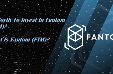 Is Worth to Invest in Fantom?  What Is Fantom?