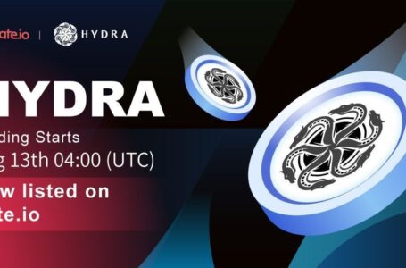Hydra Chain Review: Everything You Need to Know
