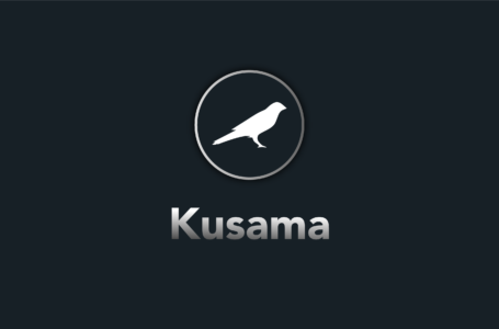 Kusama (KSM) Review: Is Worth to Invest?