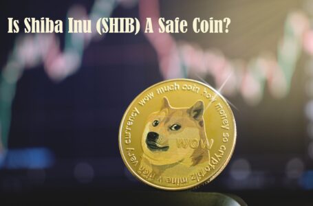 Is Shiba Inu (SHIB) A Safe Coin to Invest?