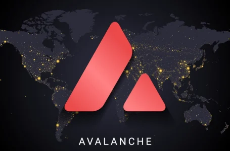 Avalanche Pulls Down $230 Million Investment Led by Polychain and Three Arrows Capital