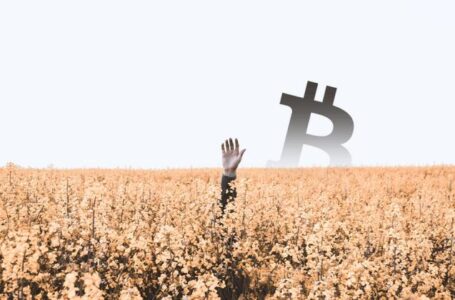 ‘Lost and HODLed’ Bitcoin (BTC) hits 34% of supply, what does this mean?