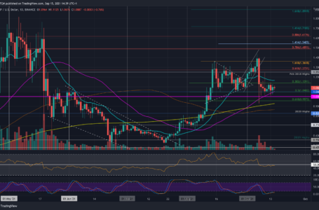 XRP Rangebound Following Last Week’s Crash, What’s Next?