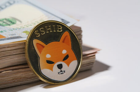 SHIB Is Rebounding After Largest Dump in Token’s History