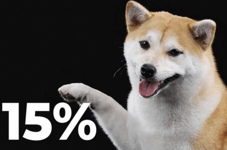 Shiba Inu Faces 15% More Buys Than Sells with 78% of Holders Staying in Profit