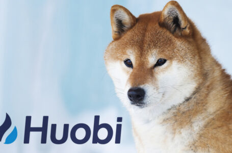 SHIB, DOGE Now Available on Huobi Earn. See the APY