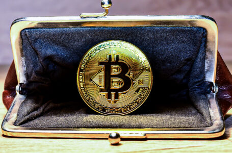 Mind-Blowing 99.7% of All Bitcoin Holders Are Now in Profit