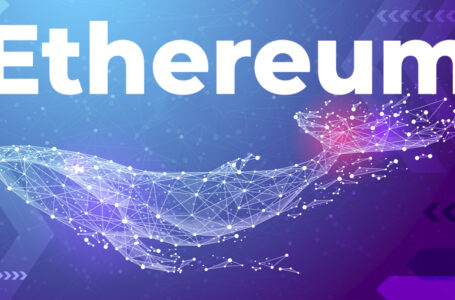 Ethereum Whales with 1 to 10 Million ETH Add 13.9% Coins As Ether Approaches ATH