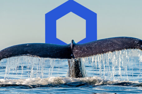 Chainlink Whales Now Hold Almost 25% of Supply: Here’s Why It Might Be Concerning