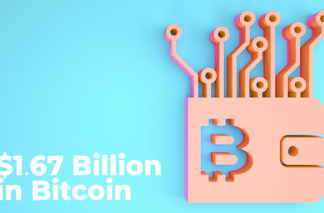 $1.67 Billion in Bitcoin Moved Between Anon Wallets as BTC Drops to $60,000