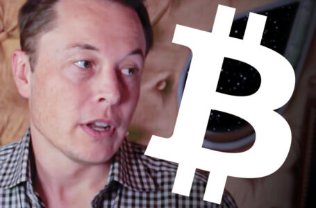 Elon Musk-Posted Bitcoin $69,000 Meme Sold for $28,000 in WETH by Author