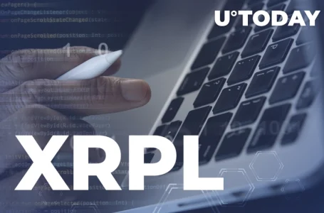 XRPL Devs Can Participate in Second Grant Program