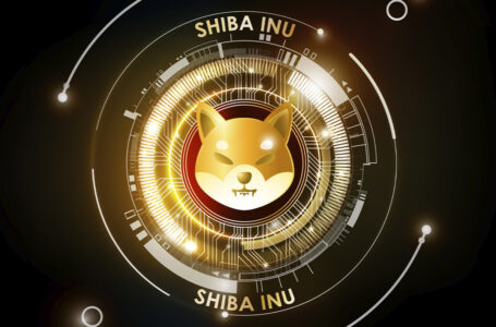 Shiba Inu (SHIB) Hits New All-Time High, Becomes Most Traded Cryptocurrency on Coinbase