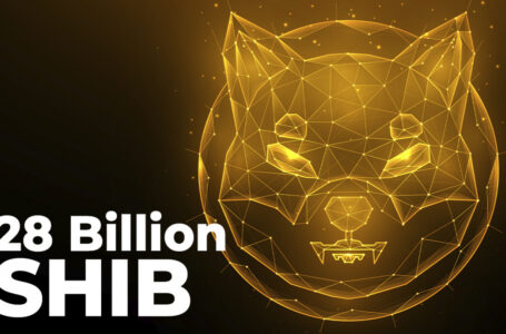 28 Billion SHIB Wired by Anon Whales as Coin Sits at $0.000046