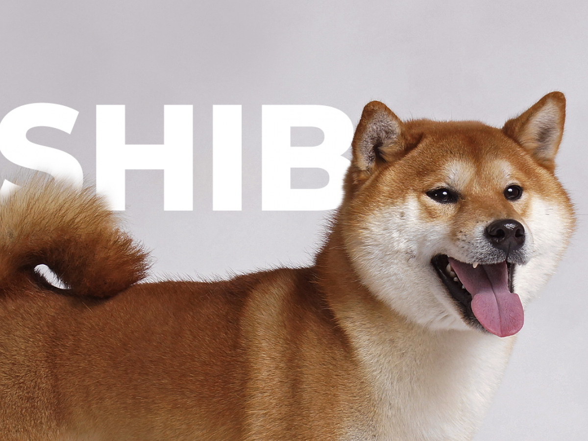 SHIB