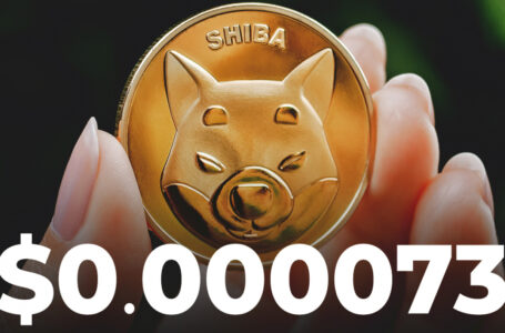 SHIB Recovers to $0.000073 After 22.4 Million SHIB and 8 Million DOGE Got Liquidated in Past Hour