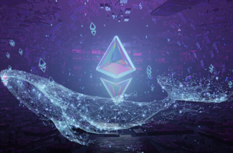 $1.1 Billion in ETH Moved by Whales After Ethereum Reached New All-Time High
