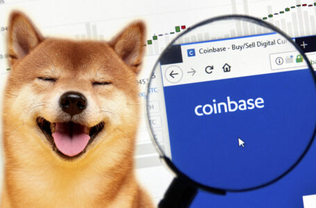 $181 Million Worth of Shiba Inu Tokens Mistakenly Appears in Coinbase Account of NASCAR Driver