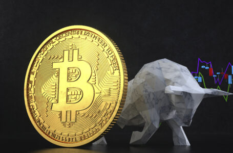 BREAKING: Bitcoin Reclaims $50,000 for the First Time Since Early September as Traders Turn Greedy