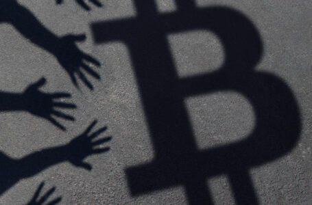 Crypto-Related Companies Follow Bitcoin’s $47,000 Run