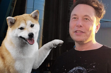 Elon Musk’s Shiba Inu Floki Picture Attracts Over 90,000 Tweets