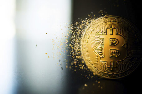 Economist Steve Hanke Names Reasons Why Bitcoin Likely to Crash After Major Price Peak